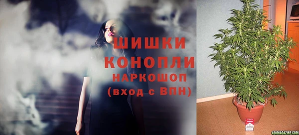 гидра Бронницы