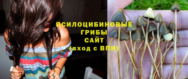 прущие крисы Верхний Тагил