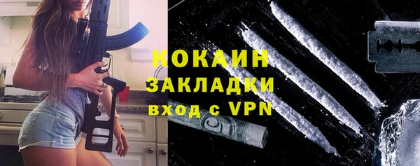 гидра Бронницы